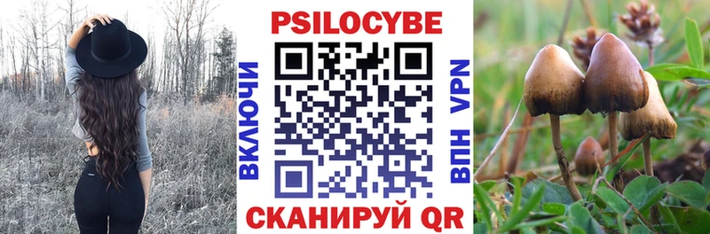 Купить закладки  Славгород  Галлюциногенные грибы прущие грибы 
